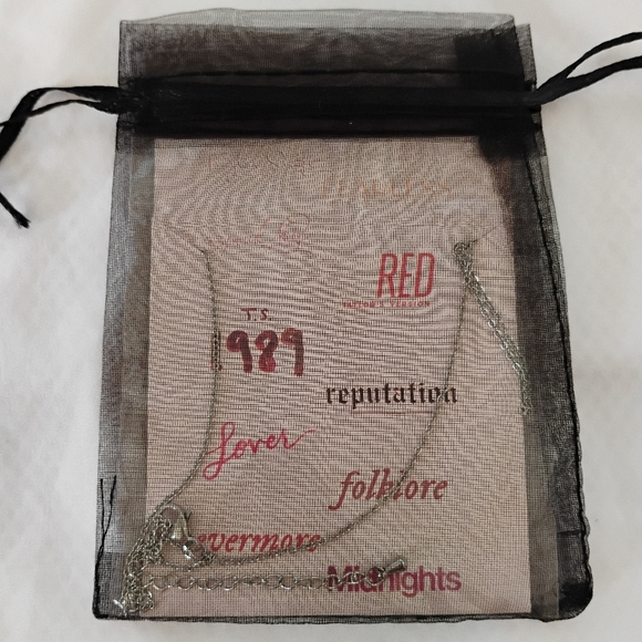 Taylor Swift "Swiftie" Silver Tone Metal Chain Necklace with Adjustable Length - Picture 3 of 10